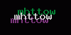 Visual Verification
